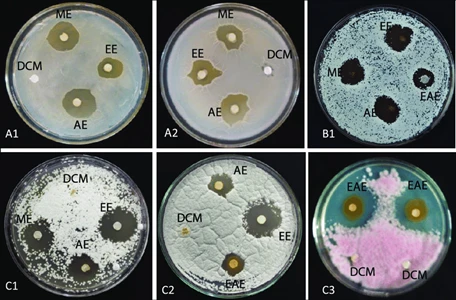Antimicrobial activity
