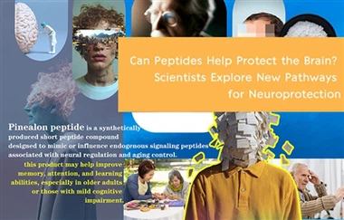 ペプチドは脳の保護に役立ちますか?科学者たちは神経保護のための新たな経路を探索